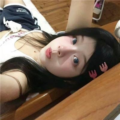 枝头凤